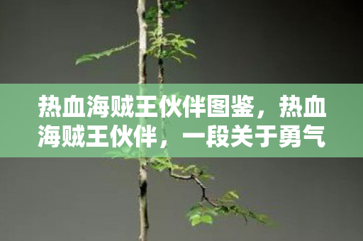热血海贼王伙伴图鉴，热血海贼王伙伴，一段关于勇气、友情与梦想的旅程