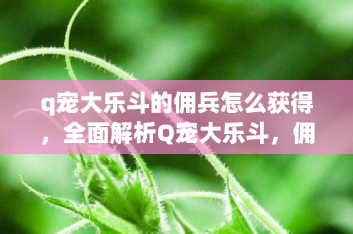 q宠大乐斗的佣兵怎么获得，全面解析Q宠大乐斗，佣兵获取攻略