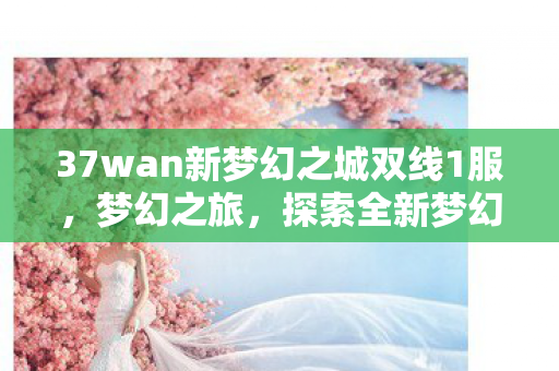 37wan新梦幻之城双线1服，梦幻之旅，探索全新梦幻之城