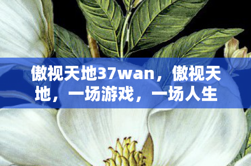 傲视天地37wan，傲视天地，一场游戏，一场人生