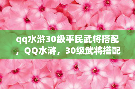 qq水浒30级平民武将搭配，QQ水浒，30级武将搭配攻略