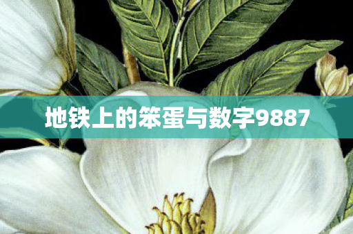 地铁上的笨蛋与数字9887