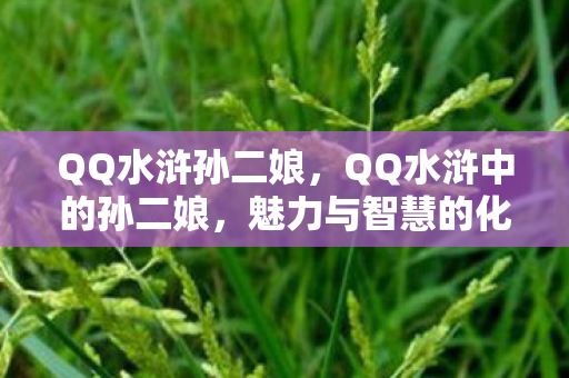 QQ水浒孙二娘，QQ水浒中的孙二娘，魅力与智慧的化身