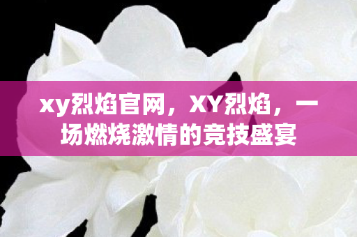 xy烈焰官网，XY烈焰，一场燃烧激情的竞技盛宴