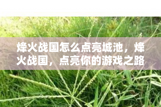 烽火战国怎么点亮城池，烽火战国，点亮你的游戏之路