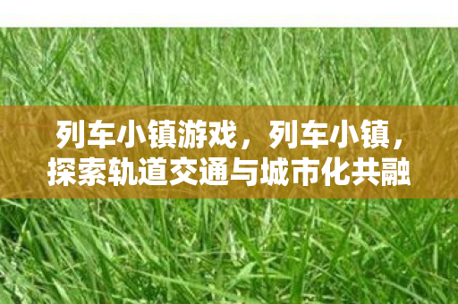 列车小镇游戏，列车小镇，探索轨道交通与城市化共融发展的奇迹