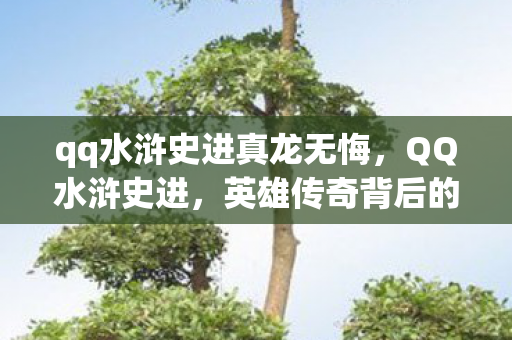 qq水浒史进真龙无悔，QQ水浒史进，英雄传奇背后的故事