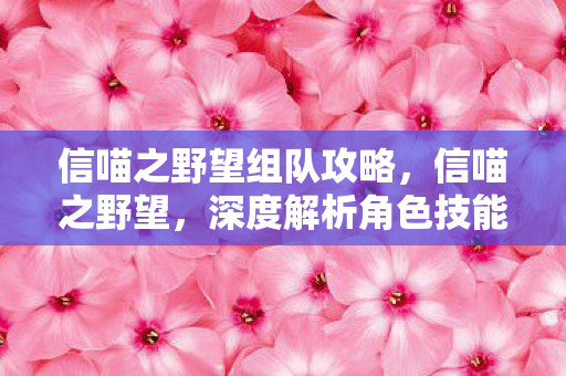 信喵之野望组队攻略，信喵之野望，深度解析角色技能与策略应用