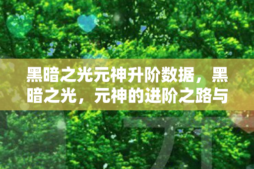 黑暗之光元神升阶数据，黑暗之光，元神的进阶之路与升阶数据揭秘