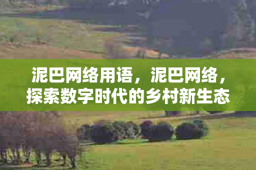 泥巴网络用语，泥巴网络，探索数字时代的乡村新生态