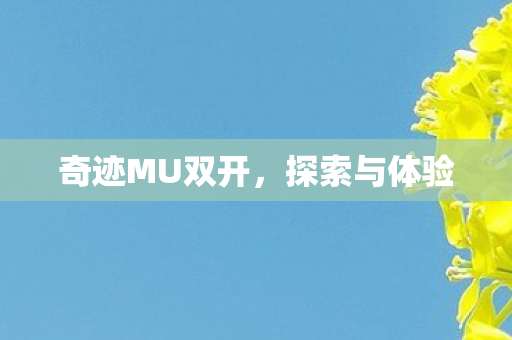 奇迹MU双开，探索与体验