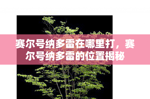 赛尔号纳多雷在哪里打，赛尔号纳多雷的位置揭秘