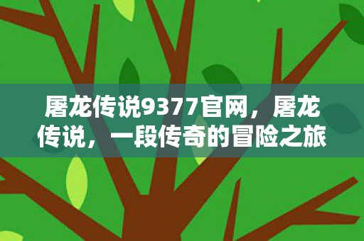 屠龙传说9377官网，屠龙传说，一段传奇的冒险之旅