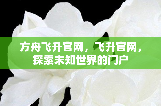 方舟飞升官网，飞升官网，探索未知世界的门户