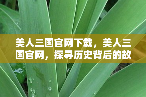 美人三国官网下载，美人三国官网，探寻历史背后的故事与魅力