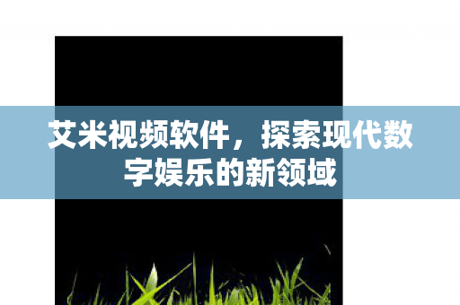 艾米视频软件，探索现代数字娱乐的新领域