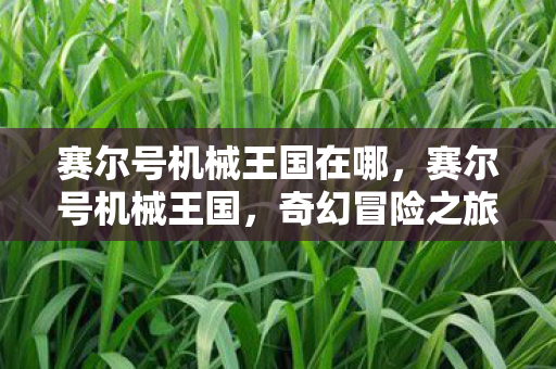 赛尔号机械王国在哪，赛尔号机械王国，奇幻冒险之旅