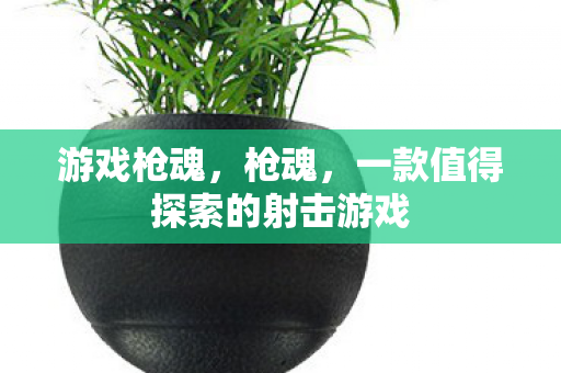 游戏枪魂，枪魂，一款值得探索的射击游戏