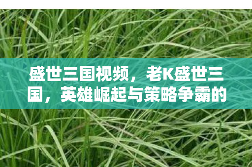 盛世三国视频，老K盛世三国，英雄崛起与策略争霸的时代