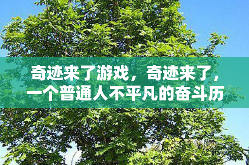 奇迹来了游戏，奇迹来了，一个普通人不平凡的奋斗历程