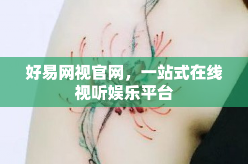 好易网视官网，一站式在线视听娱乐平台