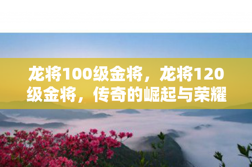 龙将100级金将，龙将120级金将，传奇的崛起与荣耀的征途