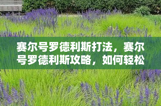 赛尔号罗德利斯打法，赛尔号罗德利斯攻略，如何轻松击败强大的对手？