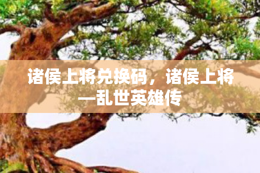 诸侯上将兑换码，诸侯上将—乱世英雄传