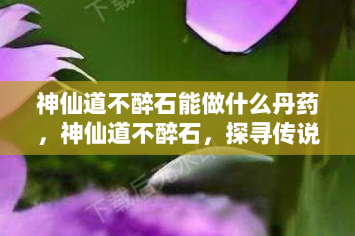 神仙道不醉石能做什么丹药，神仙道不醉石，探寻传说中的神秘力量与智慧结晶