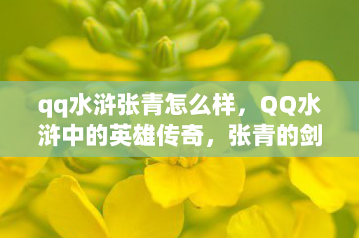 qq水浒张青怎么样，QQ水浒中的英雄传奇，张青的剑影江湖路