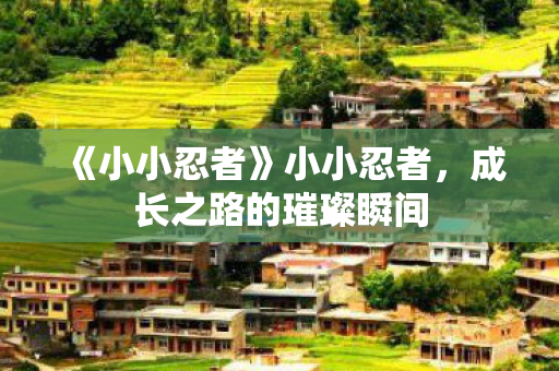 《小小忍者》小小忍者，成长之路的璀璨瞬间