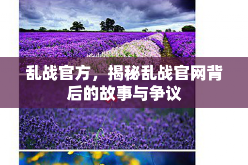 乱战官方，揭秘乱战官网背后的故事与争议