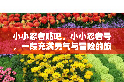 小小忍者贴吧，小小忍者号，一段充满勇气与冒险的旅程