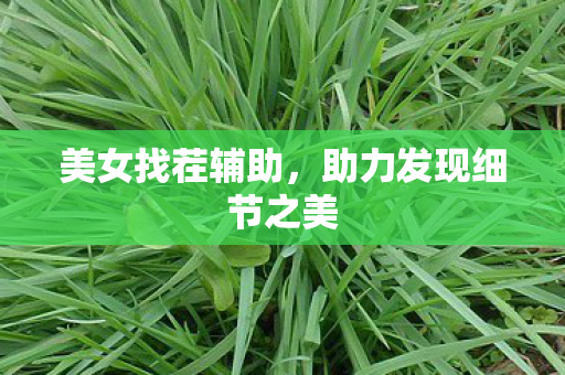 美女找茬辅助，助力发现细节之美