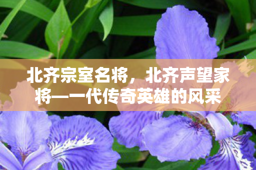 北齐宗室名将，北齐声望家将—一代传奇英雄的风采