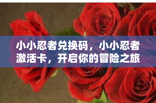 小小忍者兑换码，小小忍者激活卡，开启你的冒险之旅