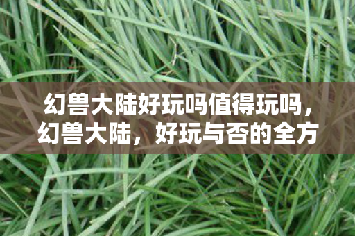 幻兽大陆好玩吗值得玩吗，幻兽大陆，好玩与否的全方位解读