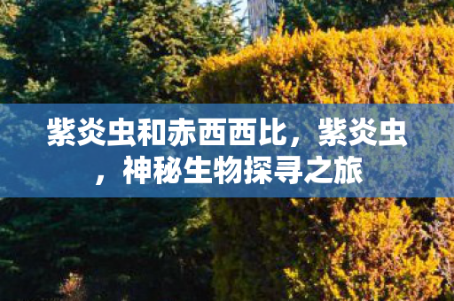 紫炎虫和赤西西比，紫炎虫，神秘生物探寻之旅