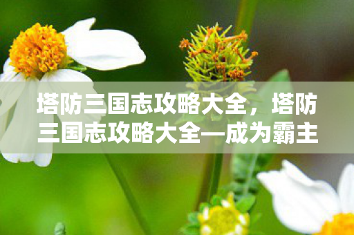 塔防三国志攻略大全，塔防三国志攻略大全—成为霸主的秘诀