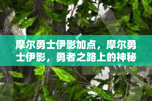 摩尔勇士伊影加点，摩尔勇士伊影，勇者之路上的神秘力量