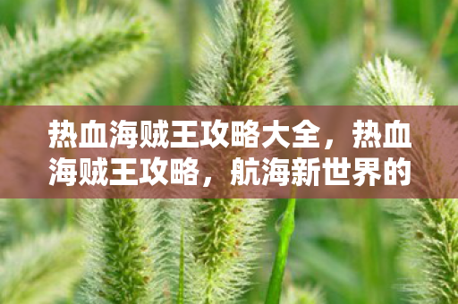 热血海贼王攻略大全，热血海贼王攻略，航海新世界的秘密
