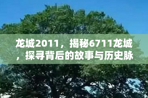 龙城2011，揭秘6711龙城，探寻背后的故事与历史脉络