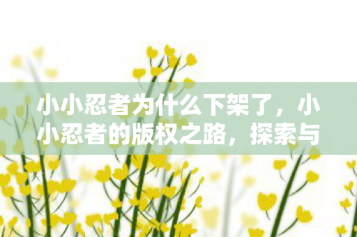 小小忍者为什么下架了，小小忍者的版权之路，探索与启示