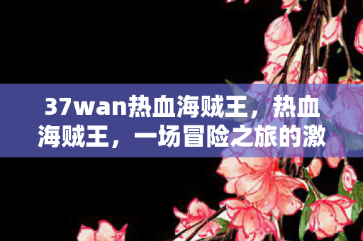 37wan热血海贼王，热血海贼王，一场冒险之旅的激情燃烧