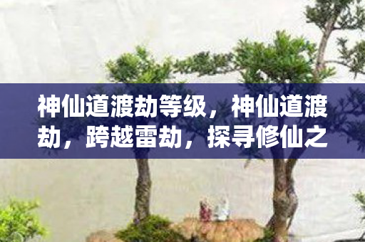 神仙道渡劫等级，神仙道渡劫，跨越雷劫，探寻修仙之路