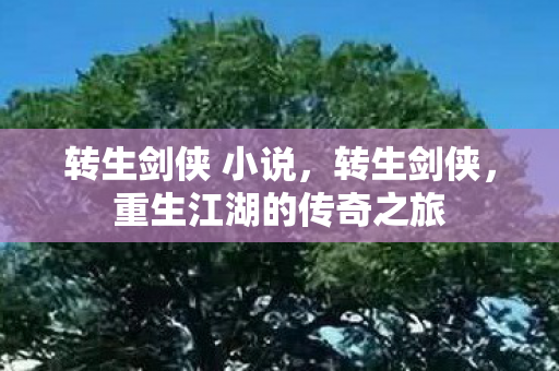 转生剑侠 小说，转生剑侠，重生江湖的传奇之旅