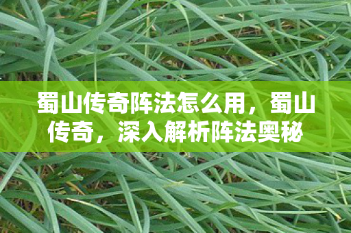 蜀山传奇阵法怎么用，蜀山传奇，深入解析阵法奥秘