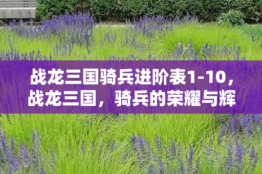 战龙三国骑兵进阶表1-10，战龙三国，骑兵的荣耀与辉煌