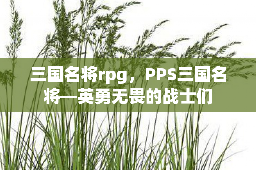 三国名将rpg，PPS三国名将—英勇无畏的战士们
