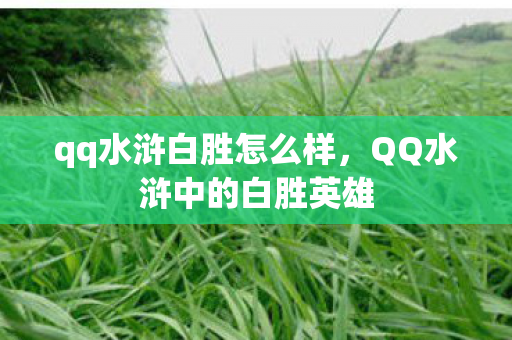 qq水浒白胜怎么样，QQ水浒中的白胜英雄